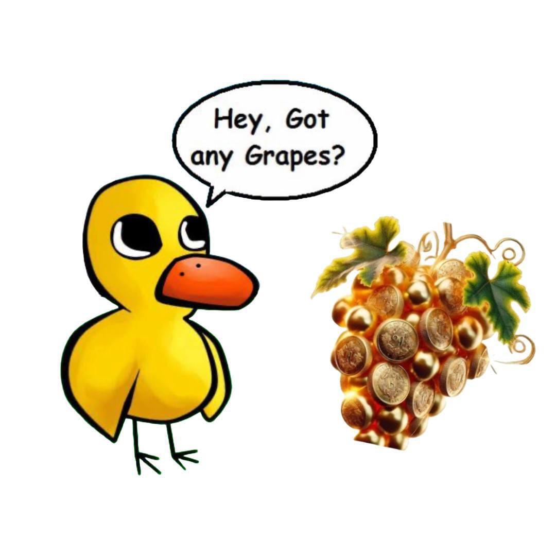 Got Any Grapes: A New Meme Movement on Solana