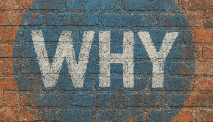 Blogging 101: What is your favourite thing about reading?